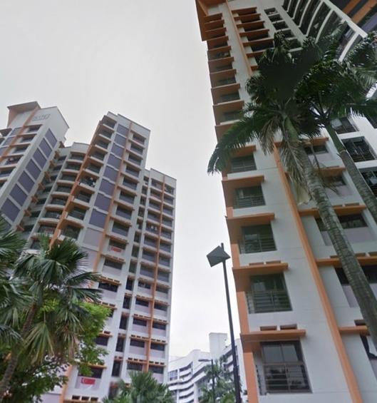 Jurong West Street 52 thumbnail photo